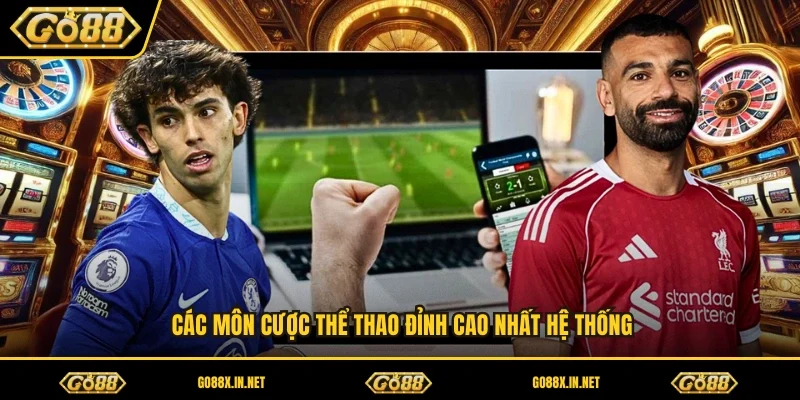 Các môn cược thể thao đỉnh cao nhất hệ thống