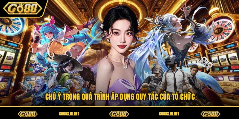 Chú ý trong quá trình áp dụng quy tắc của tổ chức 