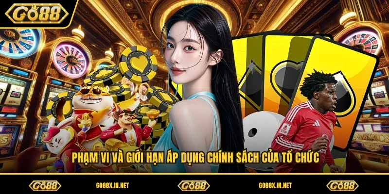 Phạm vi và giới hạn áp dụng chính sách của tổ chức 